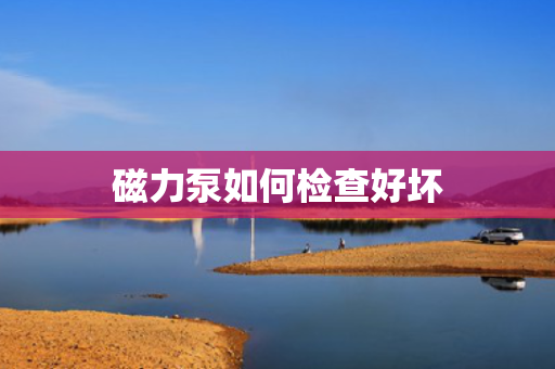 磁力泵如何检查好坏