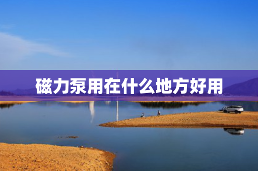 磁力泵用在什么地方好用