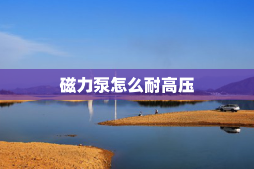 磁力泵怎么耐高压