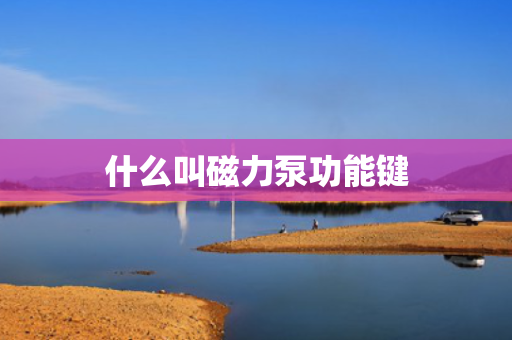什么叫磁力泵功能键