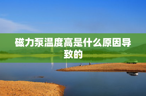 磁力泵温度高是什么原因导致的