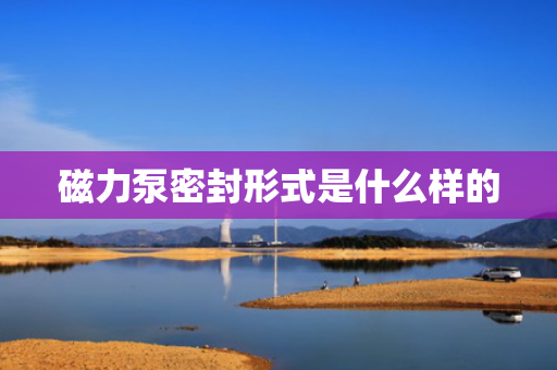 磁力泵密封形式是什么样的