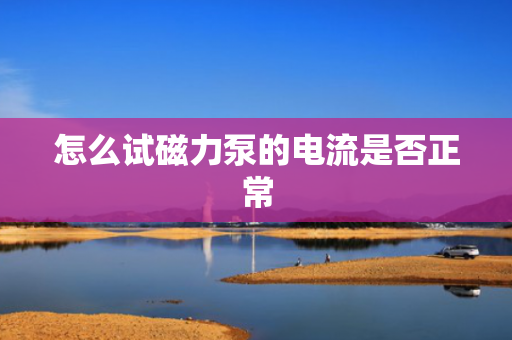 怎么试磁力泵的电流是否正常