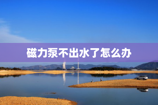磁力泵不出水了怎么办