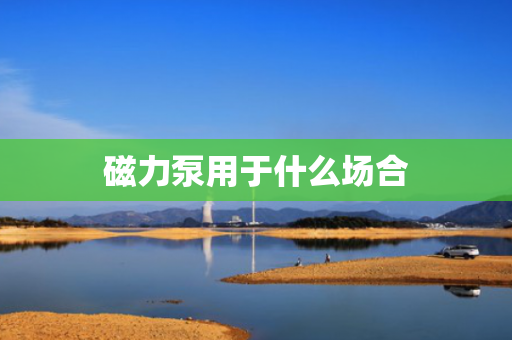 磁力泵用于什么场合