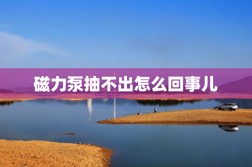 磁力泵抽不出怎么回事儿