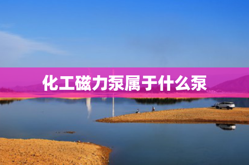 化工磁力泵属于什么泵
