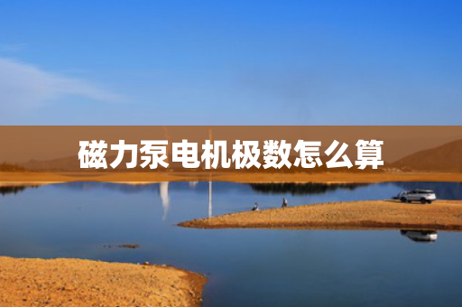 磁力泵电机极数怎么算