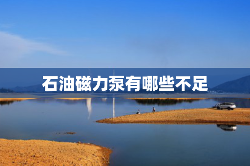 石油磁力泵有哪些不足
