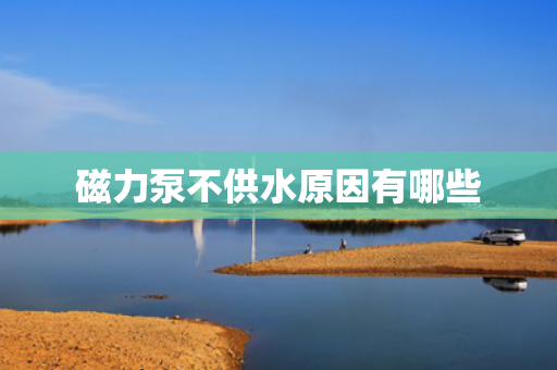 磁力泵不供水原因有哪些