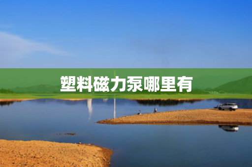 塑料磁力泵哪里有