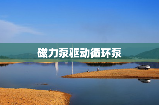 磁力泵驱动循环泵