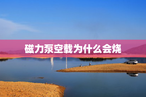 磁力泵空载为什么会烧