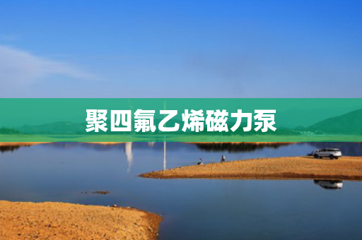 聚四氟乙烯磁力泵