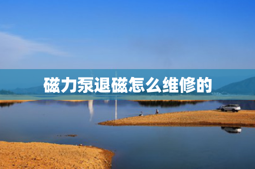 磁力泵退磁怎么维修的
