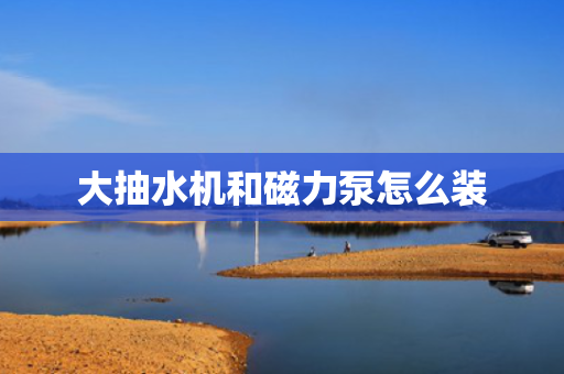 大抽水机和磁力泵怎么装