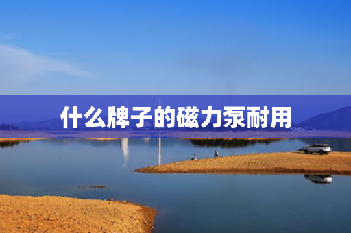 什么牌子的磁力泵耐用