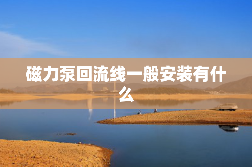 磁力泵回流线一般安装有什么