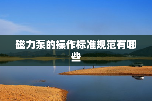 磁力泵的操作标准规范有哪些