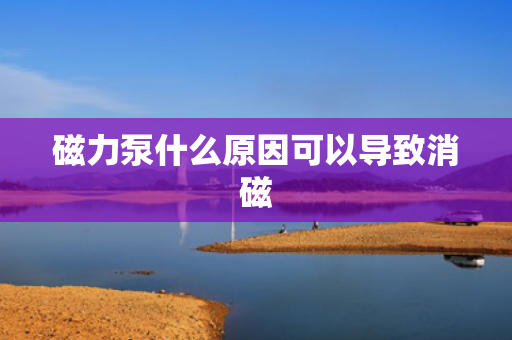 磁力泵什么原因可以导致消磁