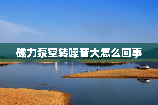 磁力泵空转噪音大怎么回事
