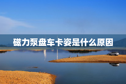磁力泵盘车卡姿是什么原因