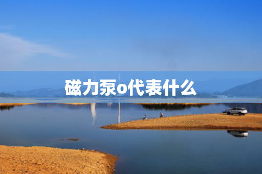 磁力泵o代表什么