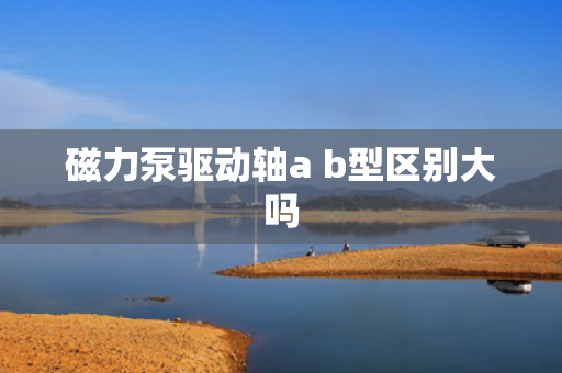磁力泵驱动轴a b型区别大吗