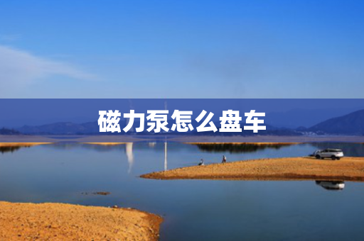磁力泵怎么盘车