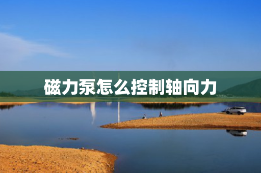 磁力泵怎么控制轴向力
