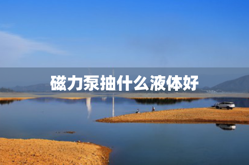 磁力泵抽什么液体好