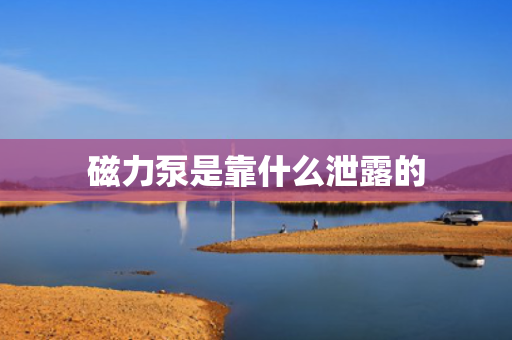 磁力泵是靠什么泄露的