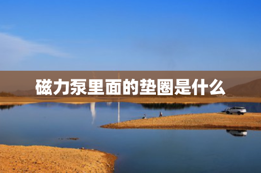 磁力泵里面的垫圈是什么
