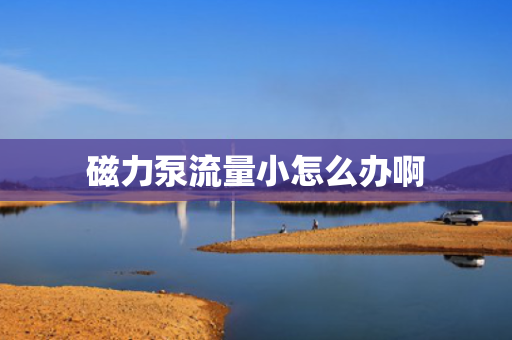 磁力泵流量小怎么办啊
