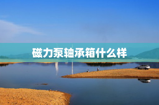 磁力泵轴承箱什么样