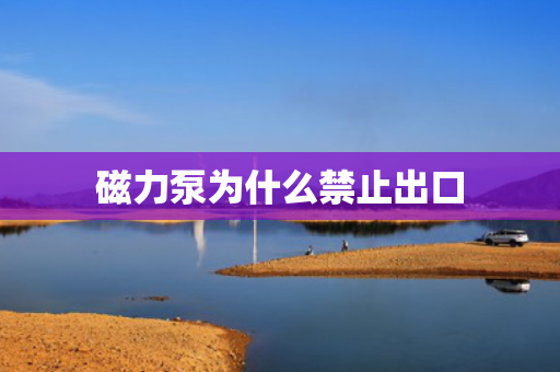磁力泵为什么禁止出口