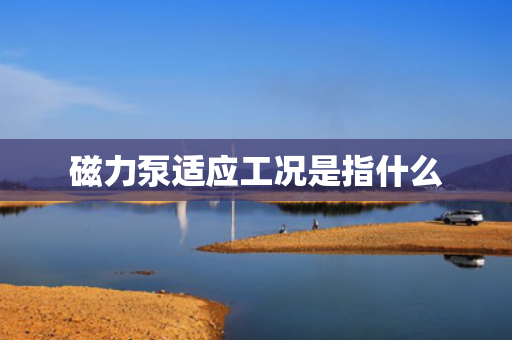 磁力泵适应工况是指什么