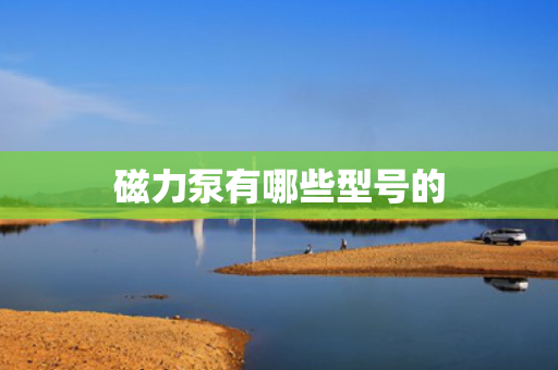 磁力泵有哪些型号的