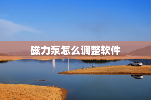 磁力泵怎么调整软件