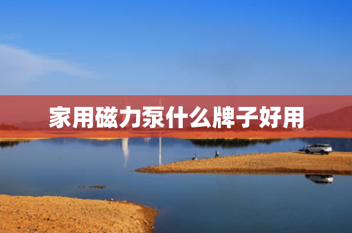 家用磁力泵什么牌子好用