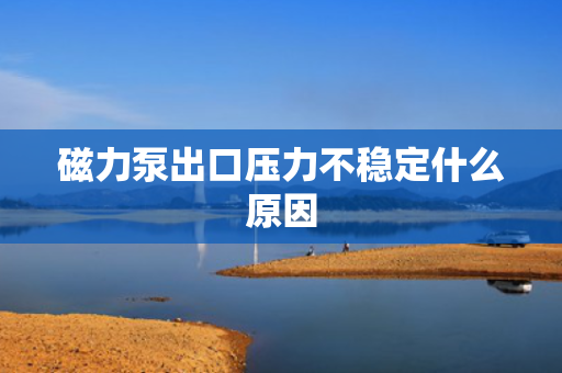 磁力泵出口压力不稳定什么原因