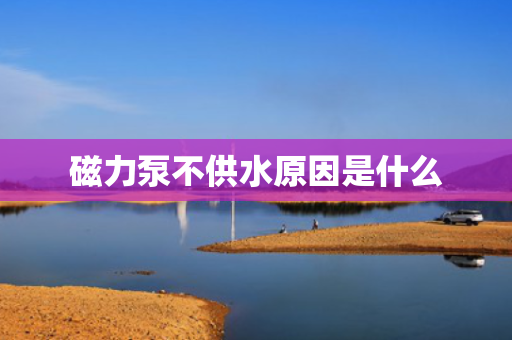 磁力泵不供水原因是什么