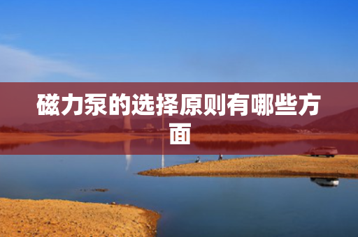 磁力泵的选择原则有哪些方面