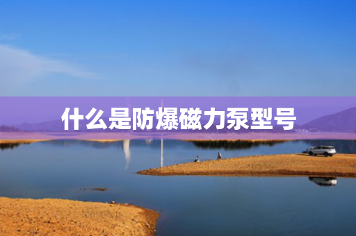 什么是防爆磁力泵型号