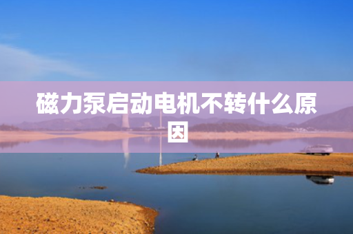 磁力泵启动电机不转什么原因