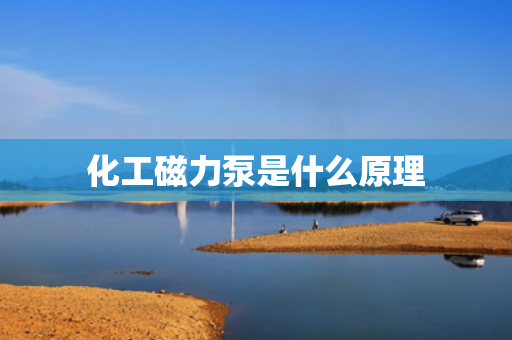 化工磁力泵是什么原理