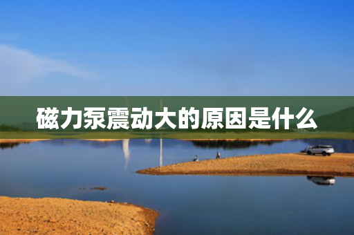 磁力泵震动大的原因是什么