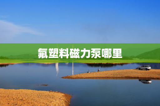 氟塑料磁力泵哪里
