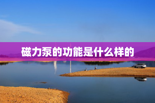磁力泵的功能是什么样的