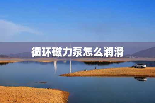 循环磁力泵怎么润滑